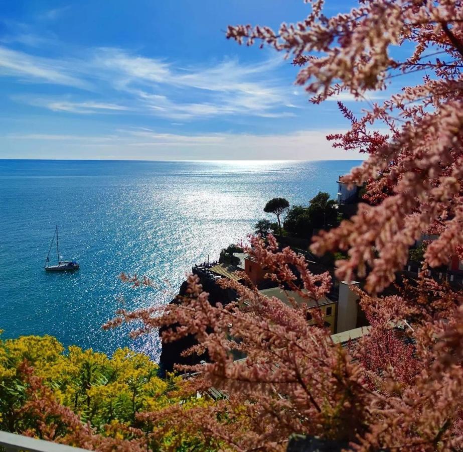 Maison Exotique - Riomaggiore / Cinque Terre / Beach Travel Exteriér fotografie